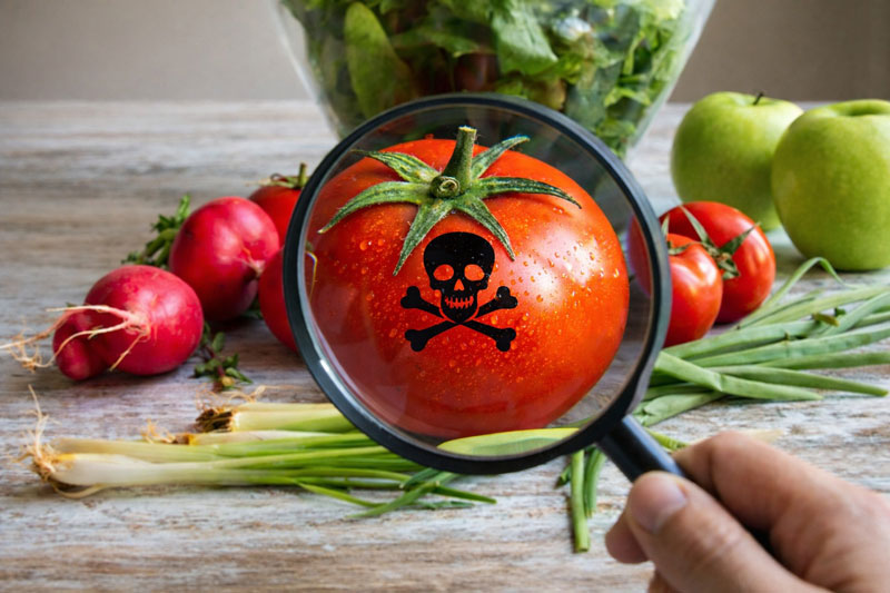 Plaguicidas y alimentos: un desafío urgente para la salud y la soberanía alimentaria en Bolivia