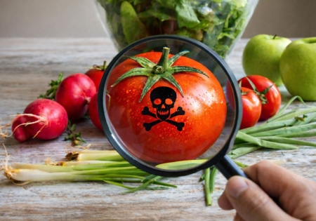 Plaguicidas y alimentos: un desafío urgente para la salud y la soberanía alimentaria en Bolivia