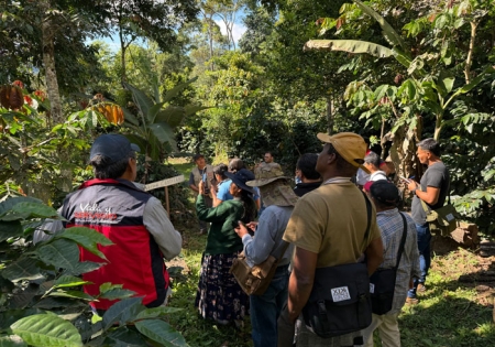 Amazonía apuesta por sistemas agroforestales para producir café de manera sostenible y conservar los suelos